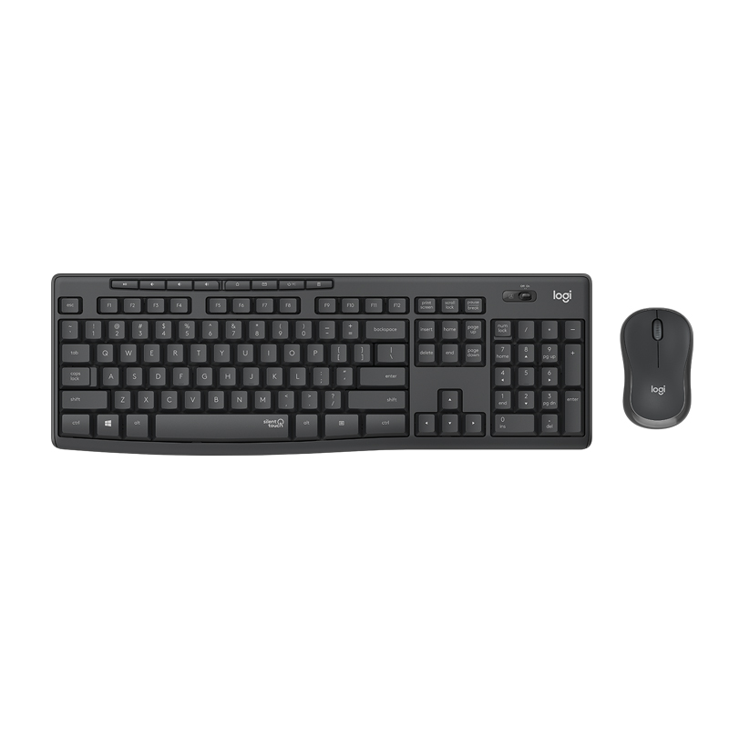 Teclado Logitech Mk295 (920-009792)